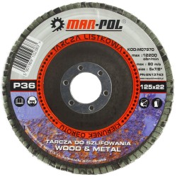 Set di 10 Dischi Abrasivi | Ø125 mm | Foro Interno Ø22,2 mm | Granulazione P36-120 | 12200 Giri/min | Lamellare a Ventaglio | per Smerigliatrice