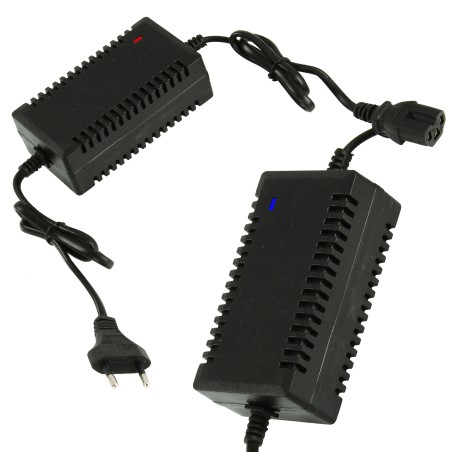 Caricabatterie per Irroratore Spruzzatore a Batteria | Tensione Ingresso 90-240 V | Tensione Uscita 12 V | Corrente Uscita 1,1 A