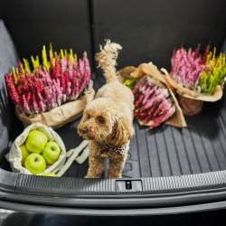 Vasca Baule compatibile con Volkswagen Touran II dal 2015 in poi, su misura in Gomma TPE