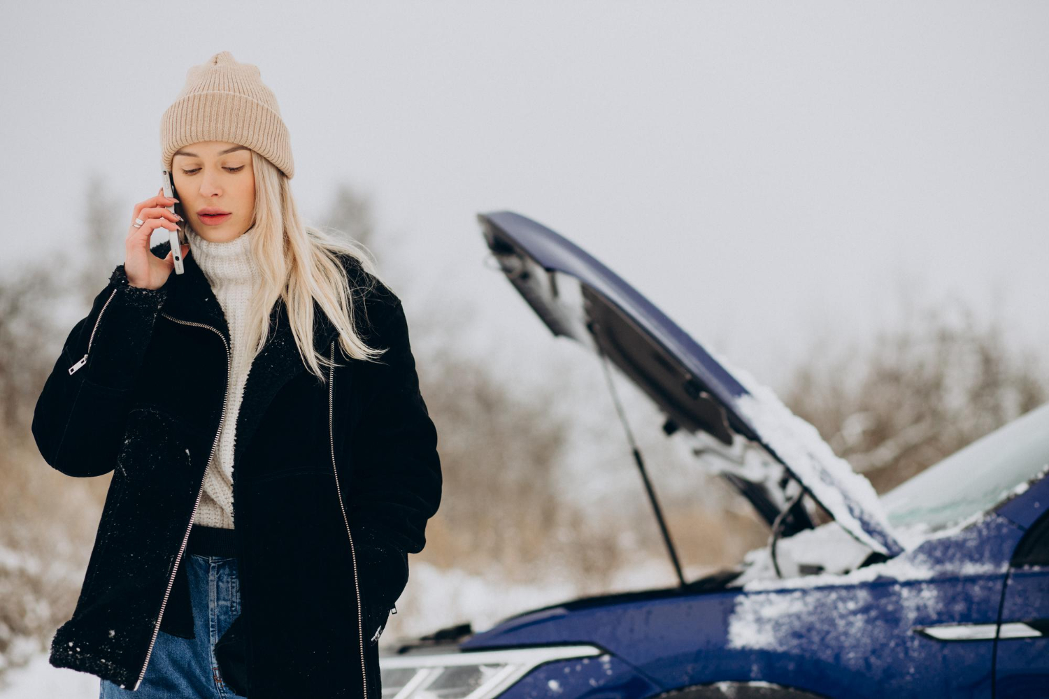 protezione invernale della batteria
